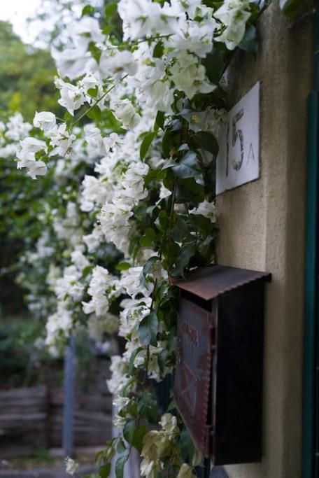 Genova Garden, Vicino Al Gaslini E Boccadasseアパートメント エクステリア 写真